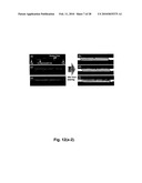 MASKLESS NANOFABRICATION OF ELECTRONIC COMPONENTS diagram and image