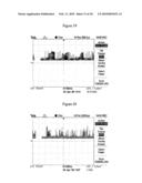 System and method for detecting use of a wireless device while driving diagram and image