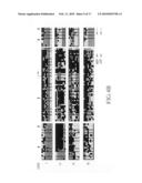 METHOD FOR DETECTING ORAL SQUAMOUS-CELL CARCINOMA diagram and image