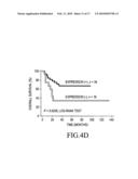 METHOD FOR DETECTING ORAL SQUAMOUS-CELL CARCINOMA diagram and image