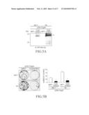 METHOD FOR DETECTING ORAL SQUAMOUS-CELL CARCINOMA diagram and image