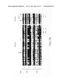 METHOD FOR DETECTING ORAL SQUAMOUS-CELL CARCINOMA diagram and image