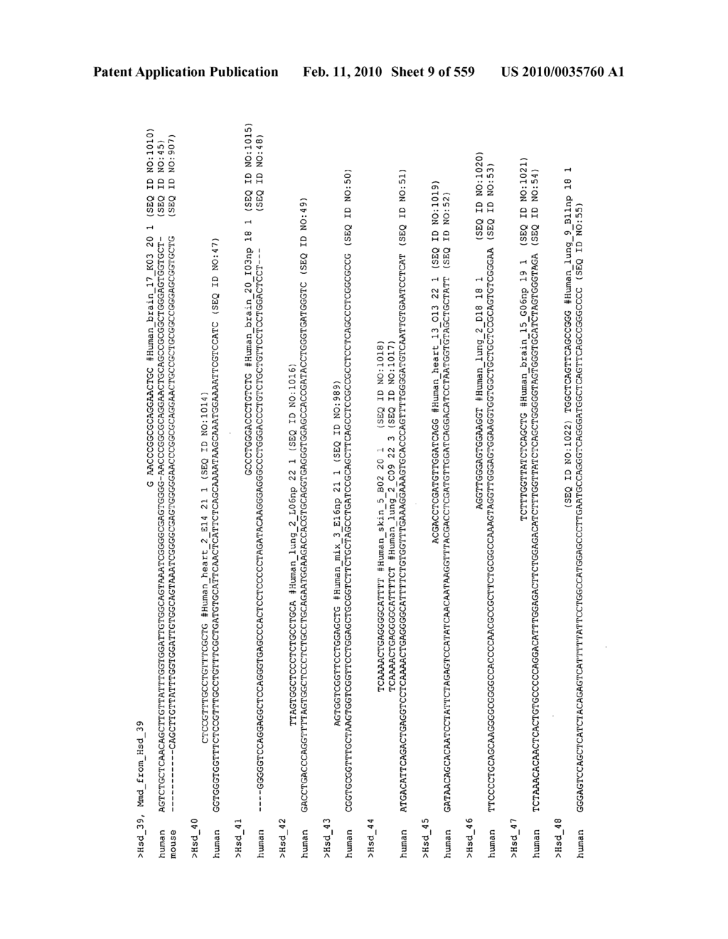 Nucleic Acid molecules and Collections Thereof, Their Application and Modification - diagram, schematic, and image 10