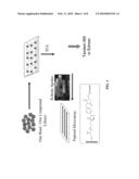 Protein and Antibody Profiling Using Small Molecule Microarrays diagram and image