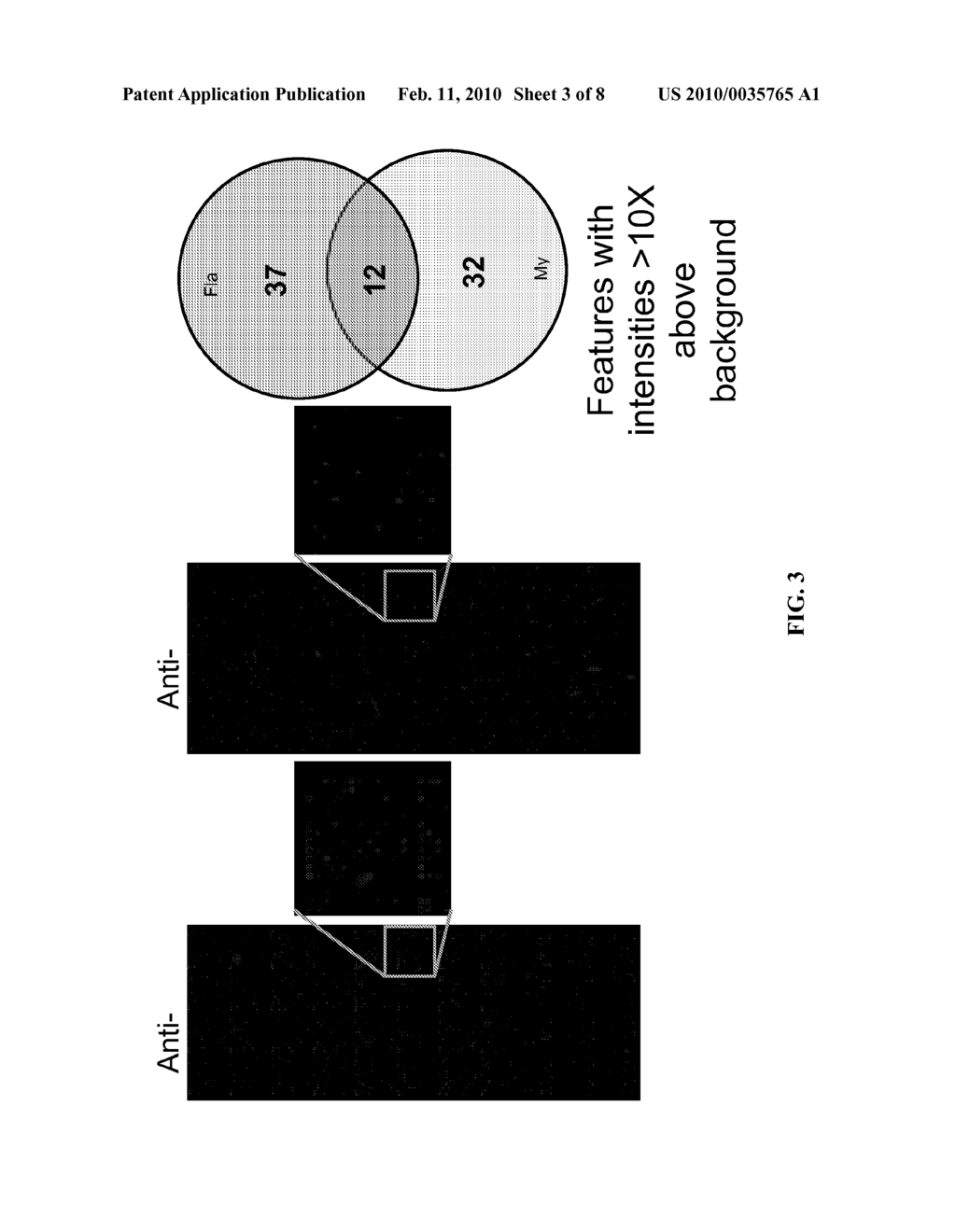 Protein and Antibody Profiling Using Small Molecule Microarrays - diagram, schematic, and image 04