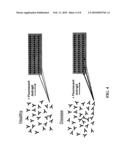 Protein and Antibody Profiling Using Small Molecule Microarrays diagram and image