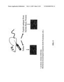 Protein and Antibody Profiling Using Small Molecule Microarrays diagram and image