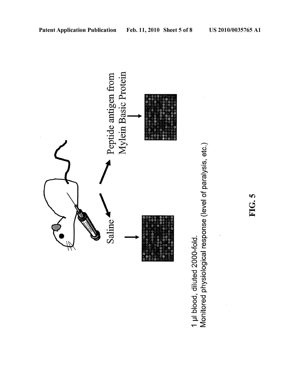 Protein and Antibody Profiling Using Small Molecule Microarrays - diagram, schematic, and image 06