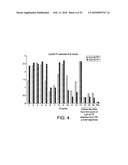 POLYMERASE diagram and image