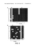 POLYMERASE diagram and image