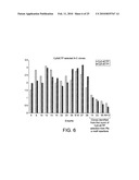 POLYMERASE diagram and image