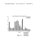 POLYMERASE diagram and image