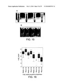 POLYMERASE diagram and image