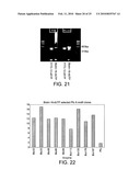 POLYMERASE diagram and image