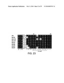 POLYMERASE diagram and image