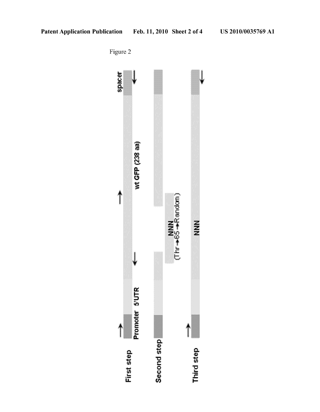 BIOMOLECULE ASSAY CHIP - diagram, schematic, and image 03