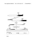 POLYPEPTIDE ANTAGONIST diagram and image