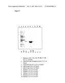 POLYPEPTIDE ANTAGONIST diagram and image