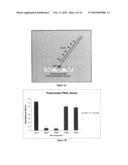 THERAPEUTIC COMPOUNDS FOR BLOCKING DNA SYNTHESIS OF POX VIRUSES diagram and image