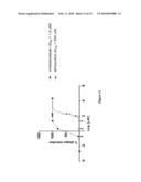 THERAPEUTIC COMPOUNDS FOR BLOCKING DNA SYNTHESIS OF POX VIRUSES diagram and image