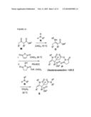 METHOD FOR ASSEMBLING HIGH-PURITY CHEMICAL LIBRARIES, COMPOUNDS SUPPRESSING ACETYL COENZYME A CARBOXYLASE ACTIVITIES DISCOVERED BY SAME diagram and image