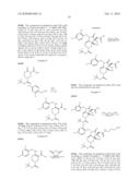 METHOD FOR ASSEMBLING HIGH-PURITY CHEMICAL LIBRARIES, COMPOUNDS SUPPRESSING ACETYL COENZYME A CARBOXYLASE ACTIVITIES DISCOVERED BY SAME diagram and image