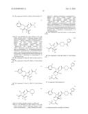 METHOD FOR ASSEMBLING HIGH-PURITY CHEMICAL LIBRARIES, COMPOUNDS SUPPRESSING ACETYL COENZYME A CARBOXYLASE ACTIVITIES DISCOVERED BY SAME diagram and image