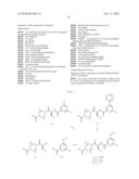 2-AMINOCARBONYL-PYRIDINE DERIVATIVES diagram and image