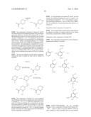 2-AMINOCARBONYL-PYRIDINE DERIVATIVES diagram and image