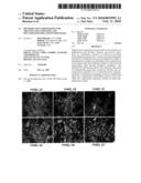 Methods and Compositions for Treating Inflammation and Inflammation-Related Pathologies diagram and image