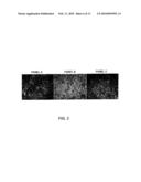 Methods and Compositions for Treating Inflammation and Inflammation-Related Pathologies diagram and image