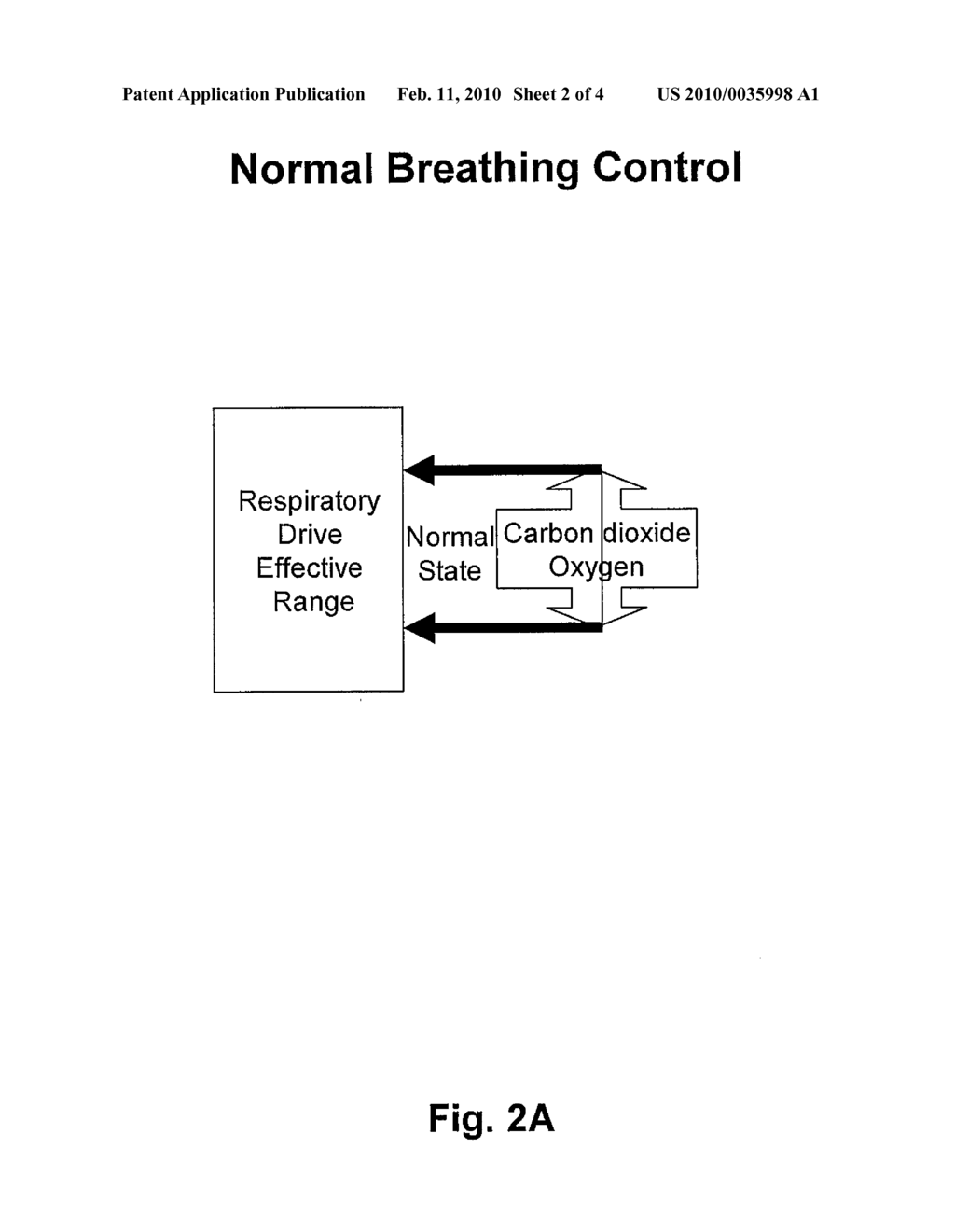 COMBINATION S-NITROSOTHIOL PHARMACEUTICAL PRODUCTS FOR RESTORING NORMAL BREATHING RHYTHMS - diagram, schematic, and image 03