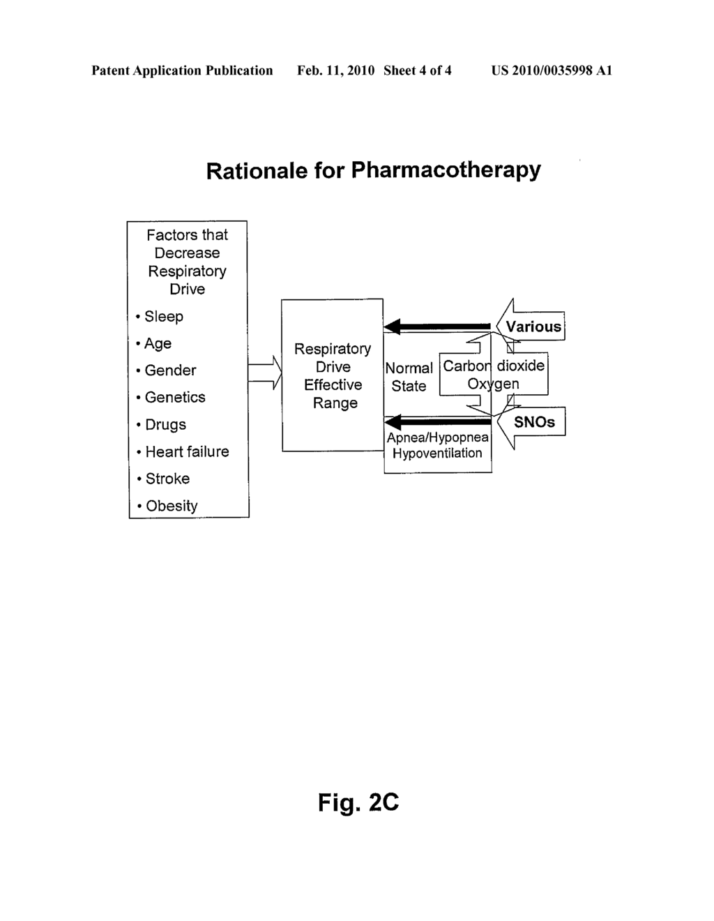 COMBINATION S-NITROSOTHIOL PHARMACEUTICAL PRODUCTS FOR RESTORING NORMAL BREATHING RHYTHMS - diagram, schematic, and image 05