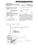 Amphiphilic Polymer Capsules and Related Methods of Interfacial Assembly diagram and image