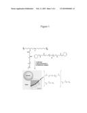 Amphiphilic Polymer Capsules and Related Methods of Interfacial Assembly diagram and image