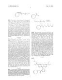 Amphiphilic Polymer Capsules and Related Methods of Interfacial Assembly diagram and image