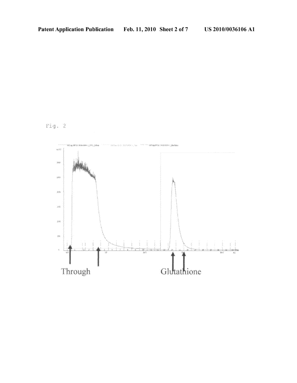 High-Affinity RNA Aptamer Molecule Against Glutathione-S-Transferase Protein - diagram, schematic, and image 03