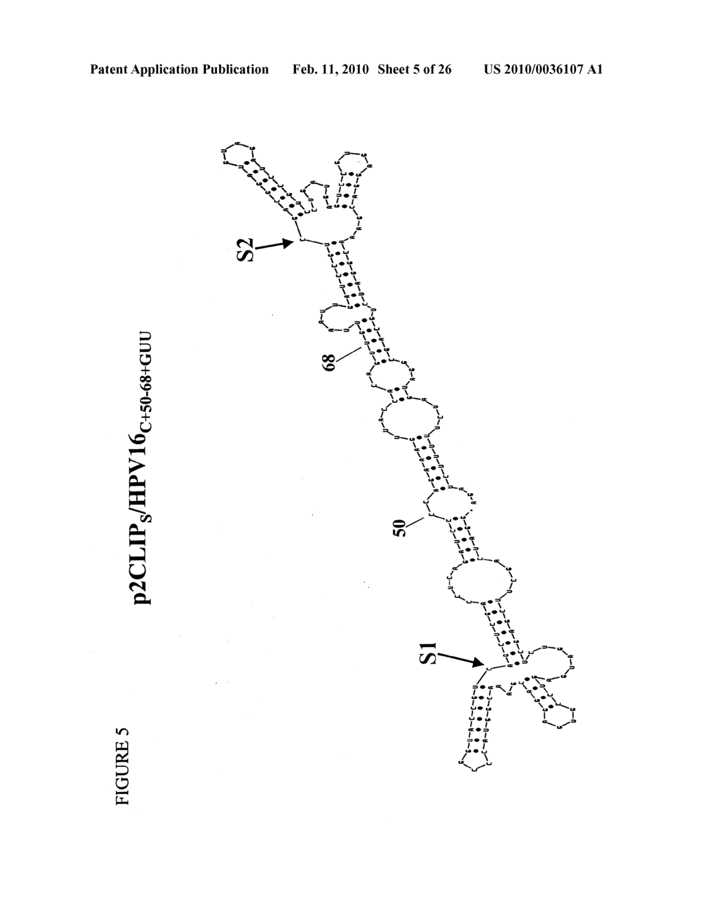 RNA INTERFERENCE COMPOSITIONS AND METHODS - diagram, schematic, and image 06