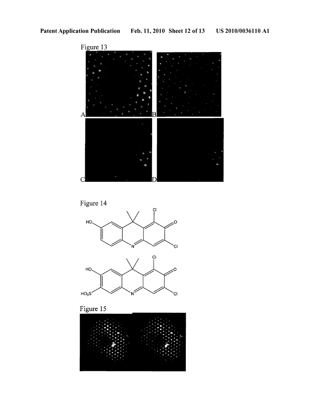 METHODS AND COMPOSITIONS FOR CONTINUOUS SINGLE-MOLECULE NUCLEIC ACID SEQUENCING BY SYNTHESIS WITH FLUOROGENIC NUCLEOTIDES - diagram, schematic, and image 13