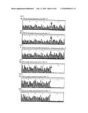 METHOD FOR REPLICATING NUCLEIC ACIDS AND NOVEL UNNATURAL BASE PAIRS diagram and image