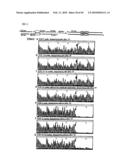 METHOD FOR REPLICATING NUCLEIC ACIDS AND NOVEL UNNATURAL BASE PAIRS diagram and image