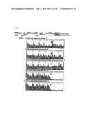 METHOD FOR REPLICATING NUCLEIC ACIDS AND NOVEL UNNATURAL BASE PAIRS diagram and image