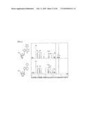 METHOD FOR REPLICATING NUCLEIC ACIDS AND NOVEL UNNATURAL BASE PAIRS diagram and image