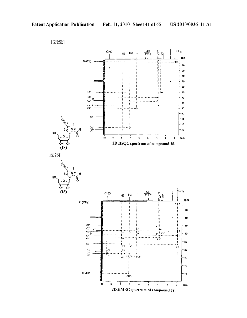 METHOD FOR REPLICATING NUCLEIC ACIDS AND NOVEL UNNATURAL BASE PAIRS - diagram, schematic, and image 42