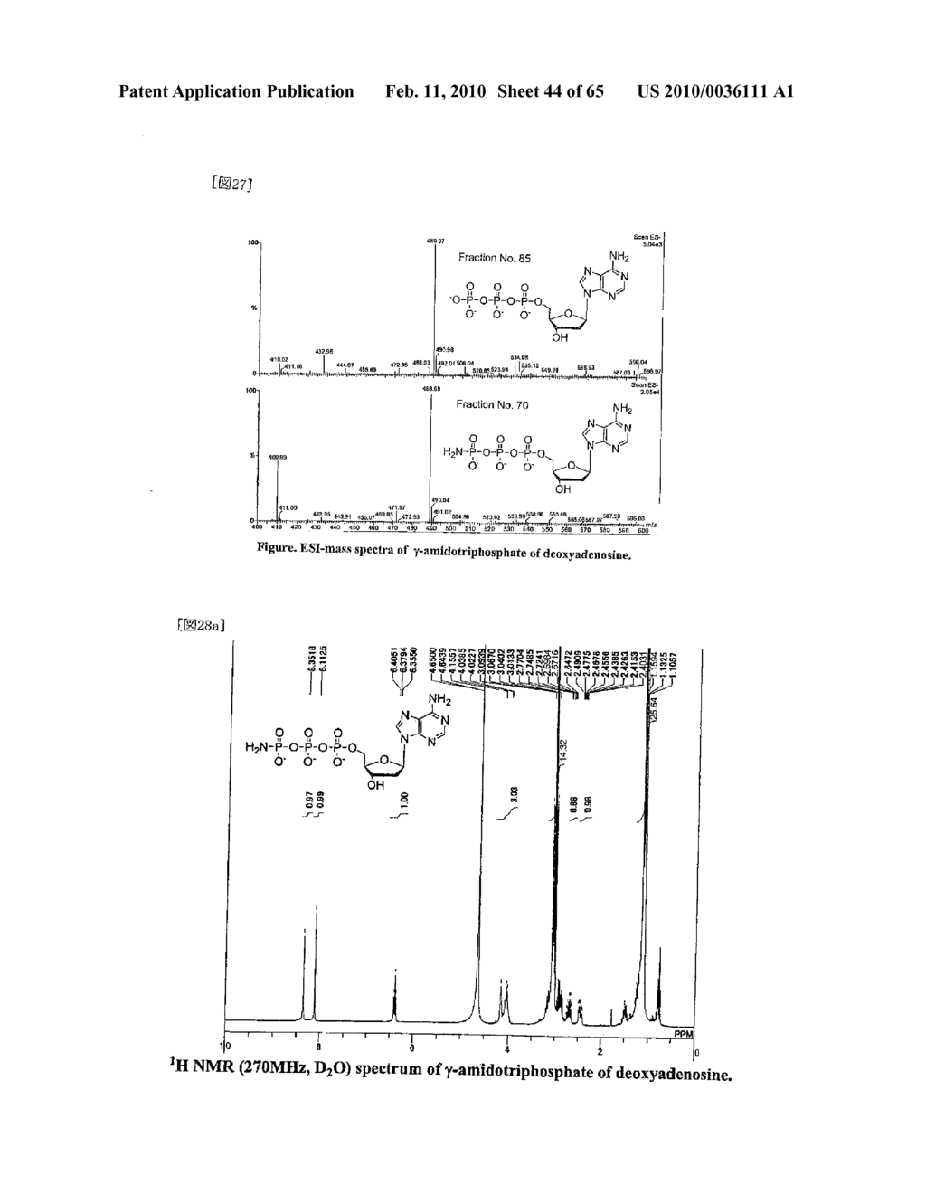 METHOD FOR REPLICATING NUCLEIC ACIDS AND NOVEL UNNATURAL BASE PAIRS - diagram, schematic, and image 45