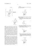 Process for Making 5-Azacytosine Nucleosides and Their Derivatives diagram and image