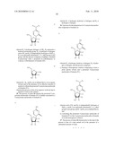 Process for Making 5-Azacytosine Nucleosides and Their Derivatives diagram and image