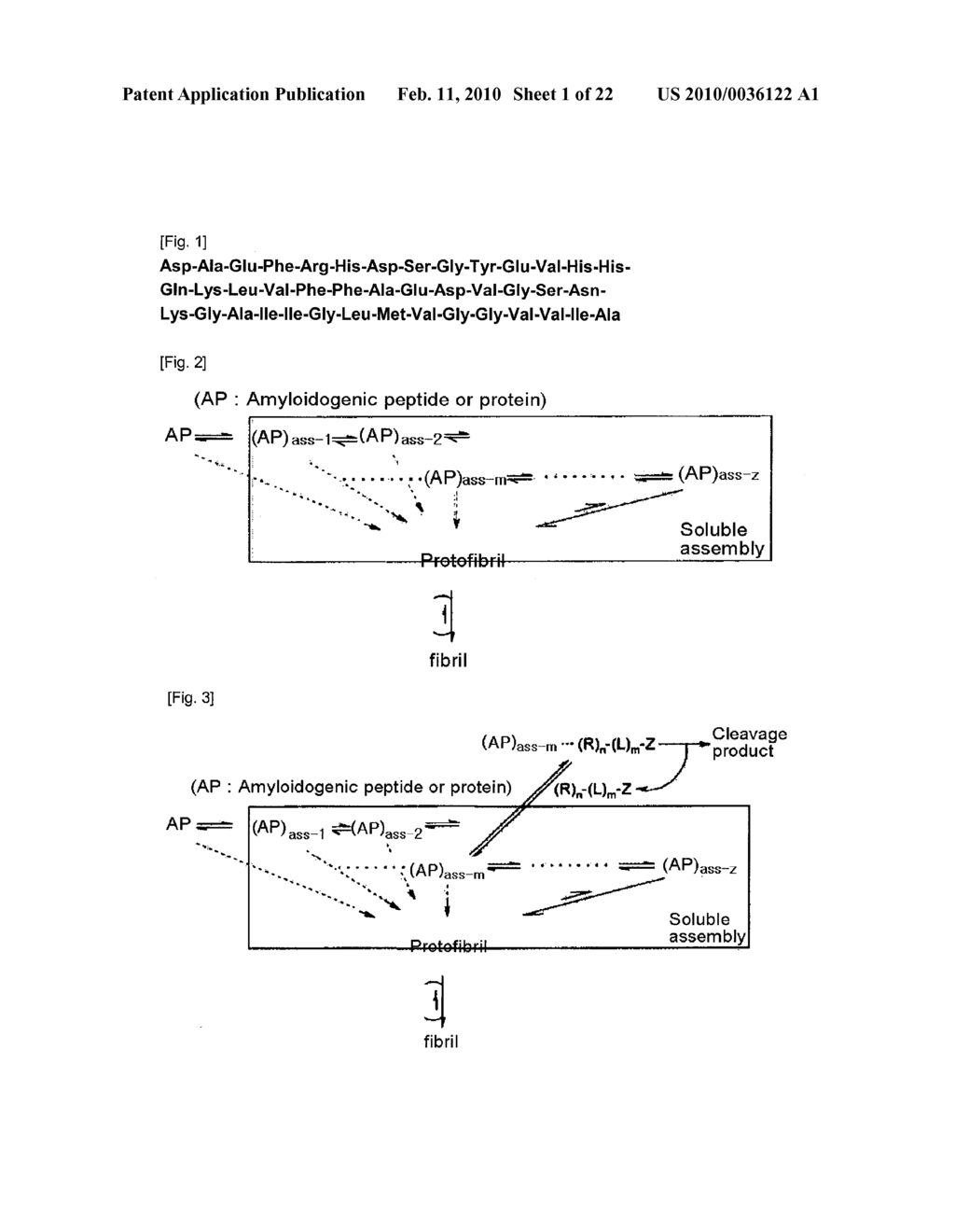 CLEAVAGE AGENT SELECTIVELY ACTING ON SOLUBLE ASSEMBLY OF AMYLOIDOGENIC PEPTIDE OR PROTEIN - diagram, schematic, and image 02