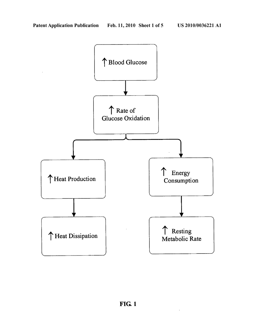 Noninvasive Method to Estimate Variation of Blood Glucose Levels Using Metabolic Measurements - diagram, schematic, and image 02