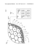 Circulatory monitoring systems and methods diagram and image